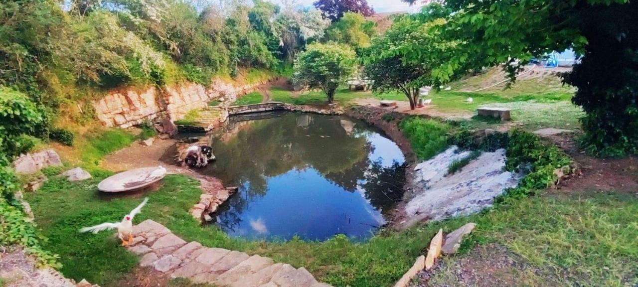 Studio Au Bord De L'Etang Laives Εξωτερικό φωτογραφία